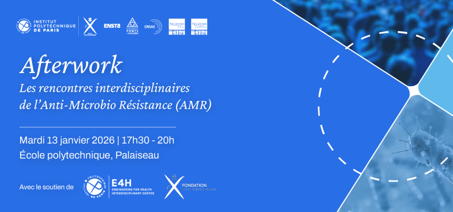 After-Work Event: The AMR Interdisciplinary Meetings