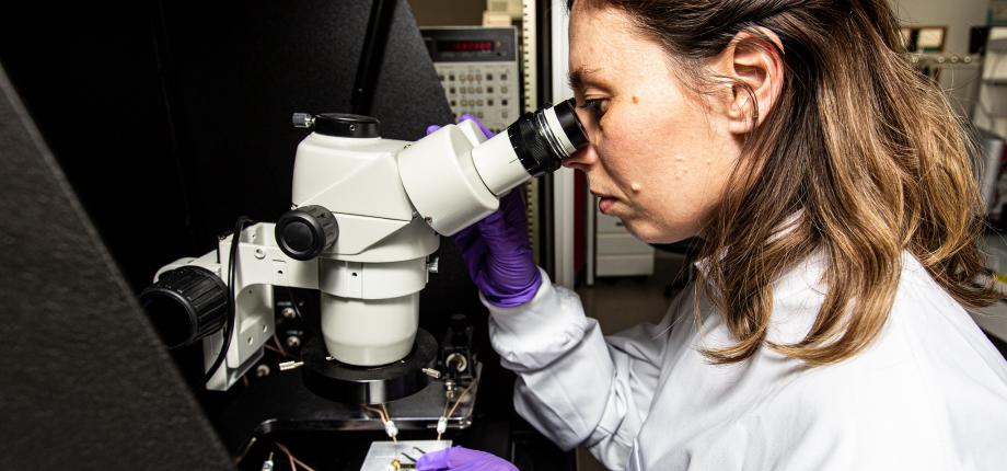 Master Year 2 in BioMedical Engineering (BME)