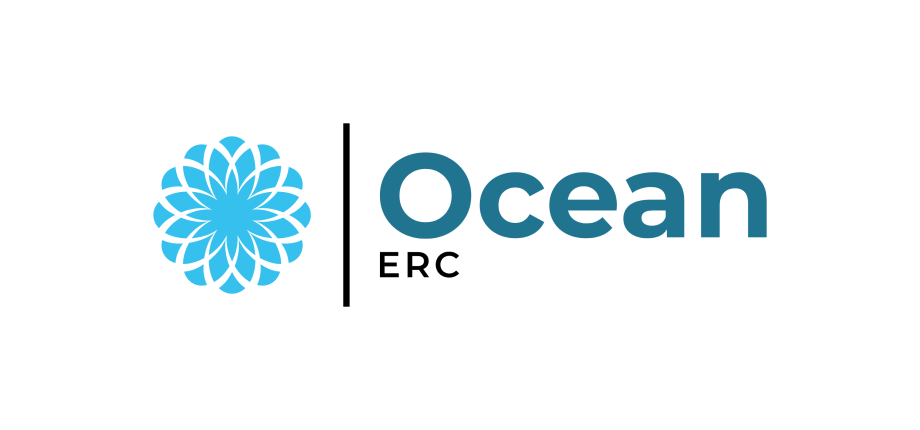 ERC OCEAN - On IntelligenCE And Networks